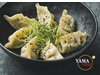 EF GYOZA DUMPLING EDAMAME CHAMPIGNON 20ST DV 400G 