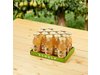 EF SCHULP APPEL-PEER-GEMBERSAP BIOLOGISCH 15X0.2L 