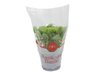 AGF BASILICUM GROTE POT 